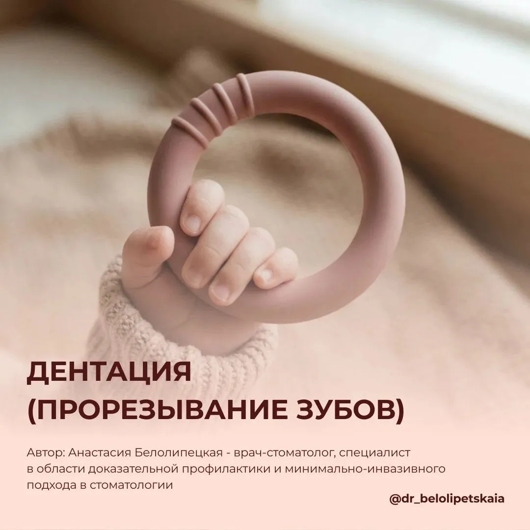 Инструкция по дентации - прорезыванию зубов (Анастасия Белолипецкая)
