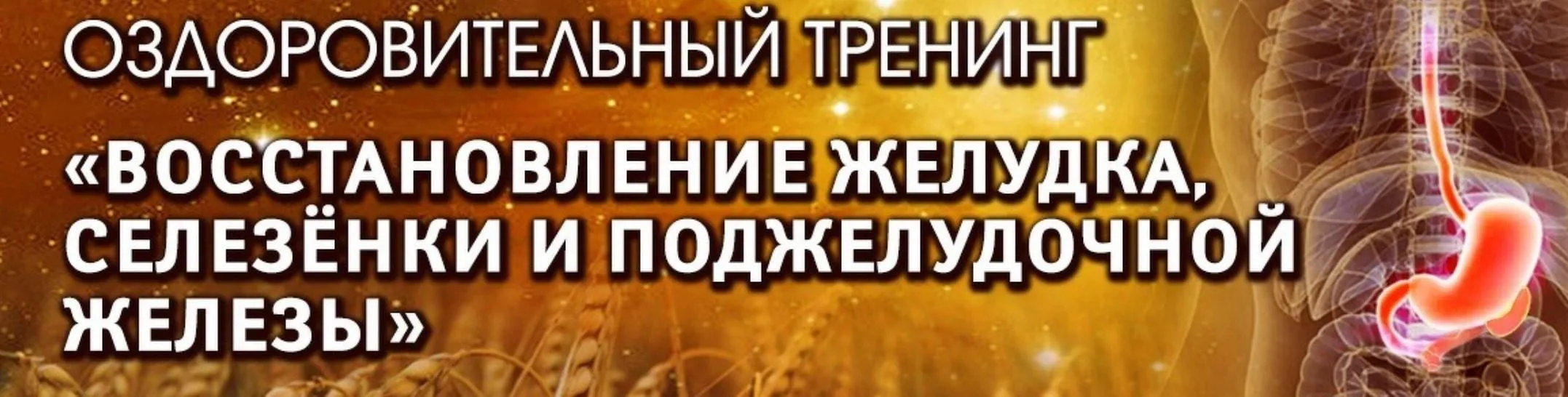 Оздоровительный тренинг «Восстановление желудка, селезенки и поджелудочной железы». Пакет «Вип» (Владимир Осипов)