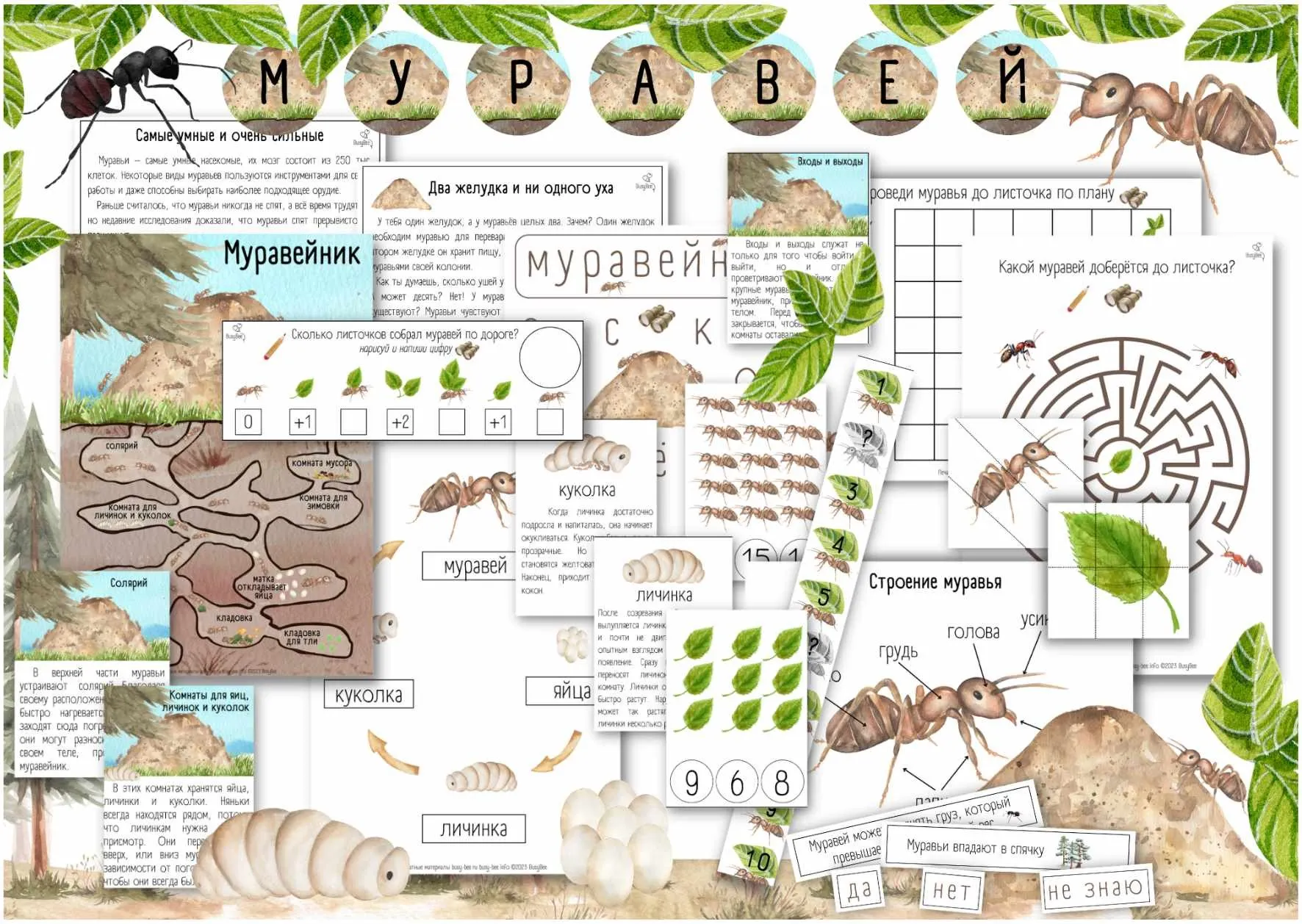 [busy-bee] Проект Муравей уровень 2/3 (Елена Самсонова)