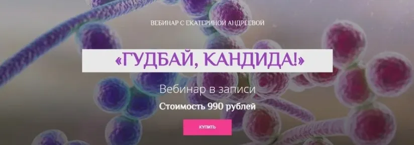 Гудбай, кандида (Екатерина Андреева)