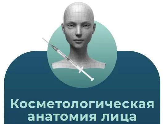 Анатомия человека. Тариф Косметологическая анатомия лица (Эдгар Кафаров)