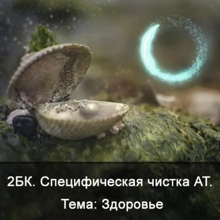 2БК Специфическая чистка астрального тела. Тема: Здоровье (Ксения Меньшикова)