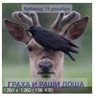 Грaxa дoшa и Рaши дoшa (Андрей Ларионов)