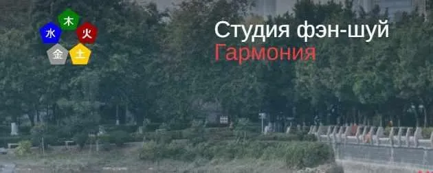 Благородные помощники 2019 года (Юлия Бальсина)