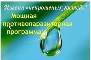 Изгони непрошеных гостей. Мощная противопаразитарная программа (Ирина Дудник)