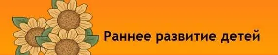 [Развивай разумно] Учимся играть, а не заниматься (Лена Данилова)