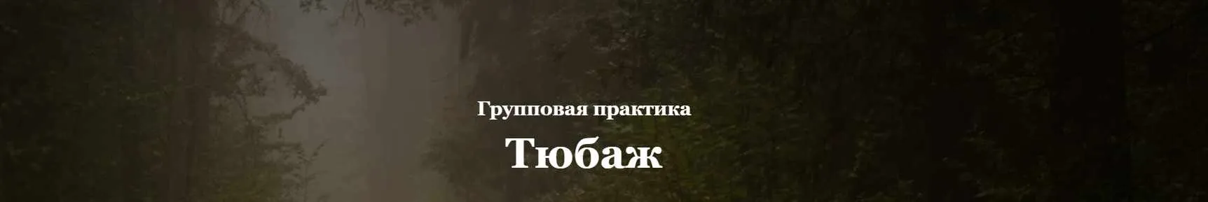 Групповая практика Тюбаж (Алисья Янг)