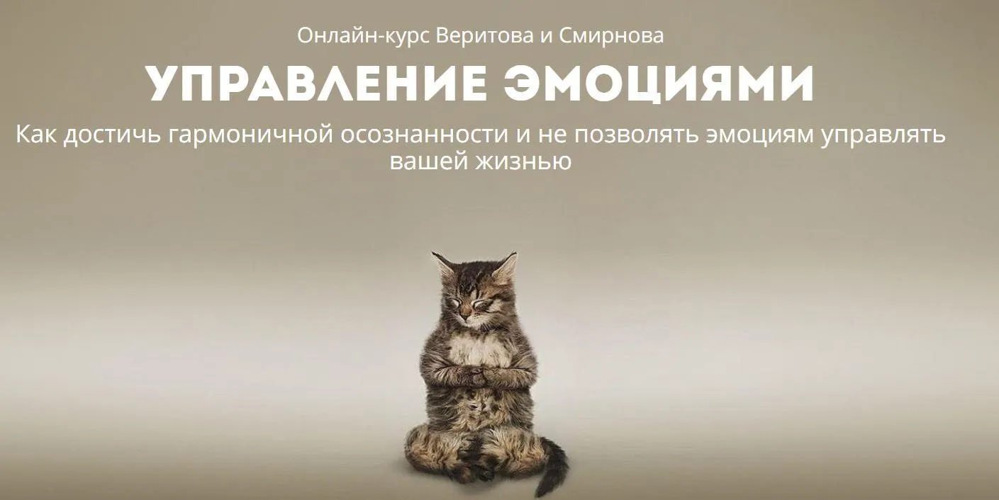 Управление эмоциями (Евгений Веритов, Сергей Смирнов)