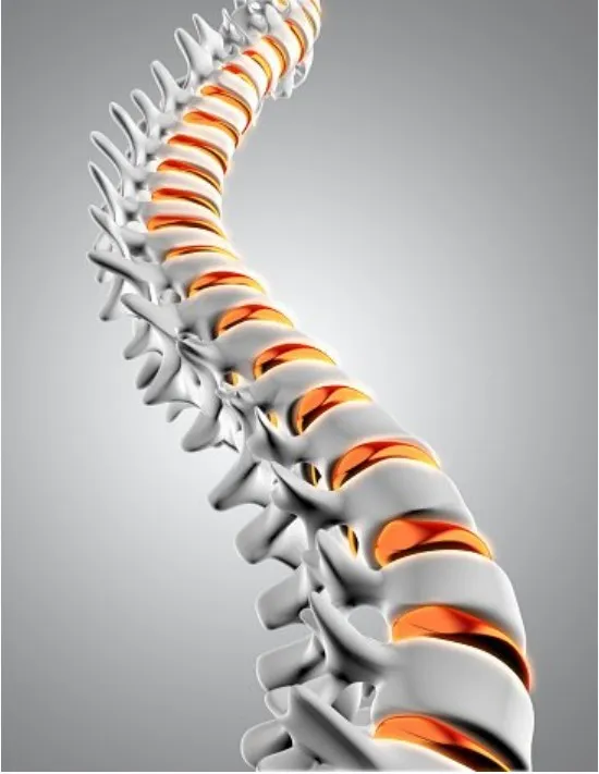[Sigh Energy] Диски для позвоночника Powerful Plus + 11x (Extra Strong). Spinal Discs Powerful Plus +11x(Extra Strong)