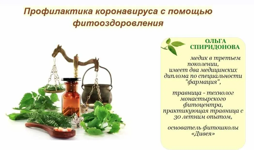 [Фитошкола «Дивея»] Профилактика коронавируса с помощью фитооздоровления (Ольга Спиридонова)