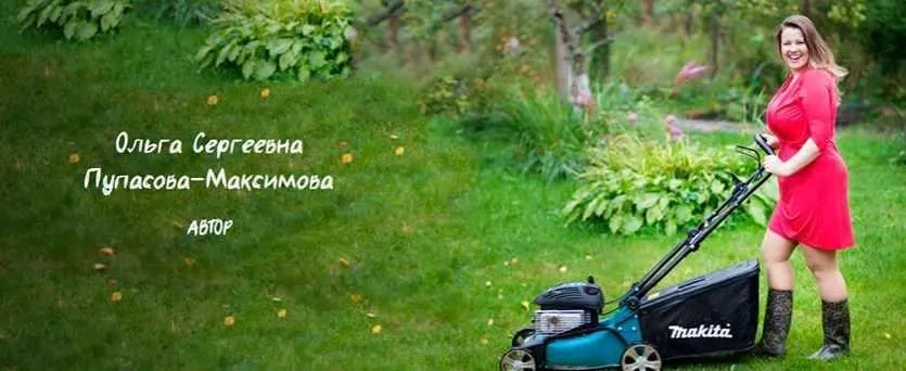 Минимизируй работы в саду (Ольга Пупасова-Максимова)