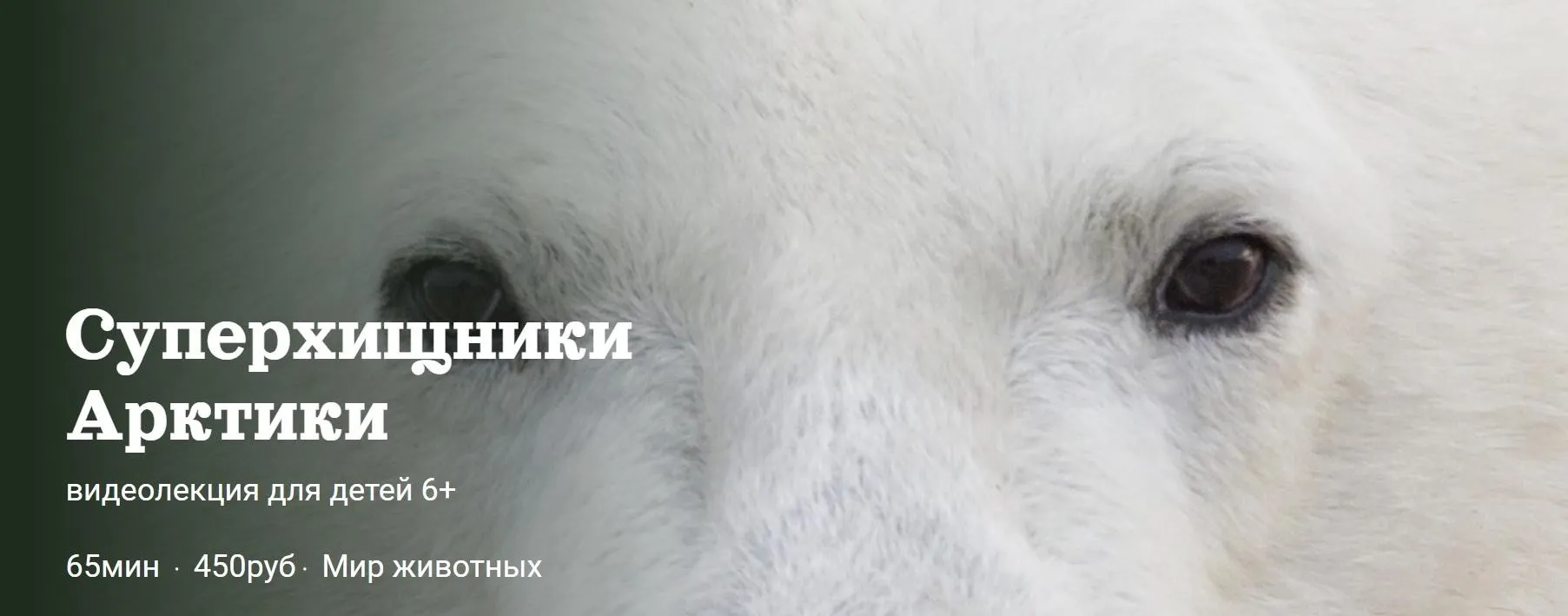 [Детский лекторий] Суперхищники Арктики (Александр Толмачев)