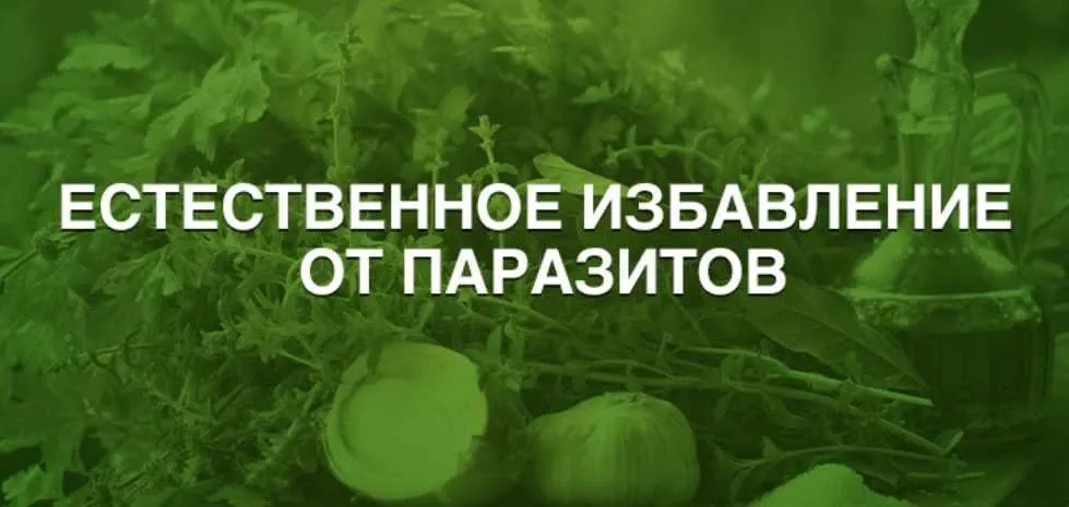 Естественное избавление от паразитов (Анна Зименская)