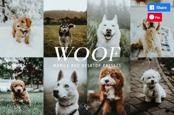 [Creativefabrica] 12 Pets Lightroom Presets