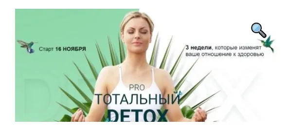 Pro тотальный detox. Ноябрь 2020 (Диляра Лебедева)