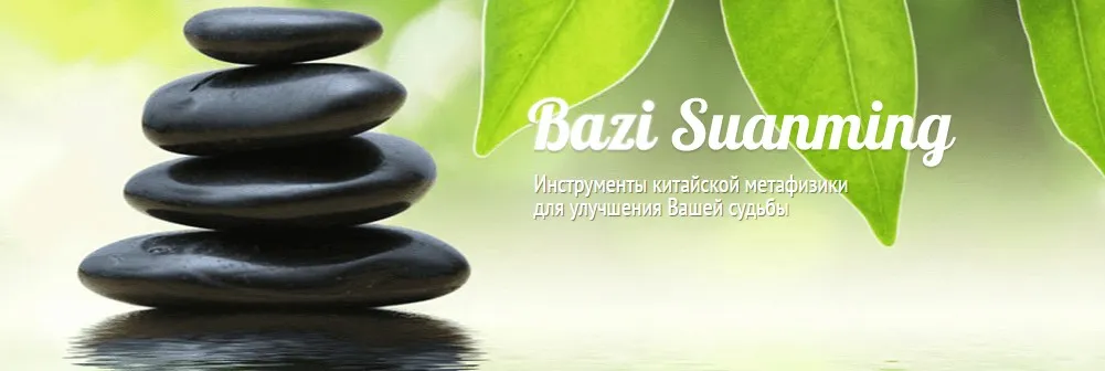 Бацзы. Вебинар Профессии (Оксана Андреева)