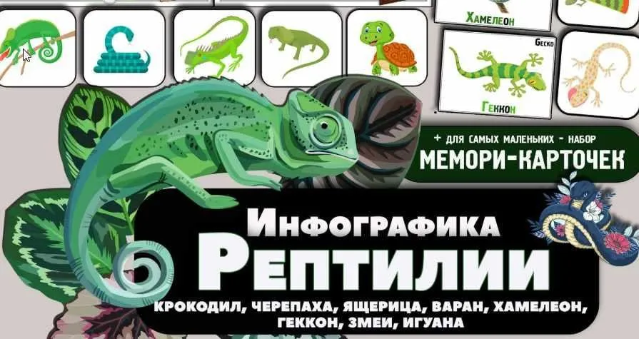 Рептилии. Интерактивные странички и карточки о рептилиях (Елена Солдатова)