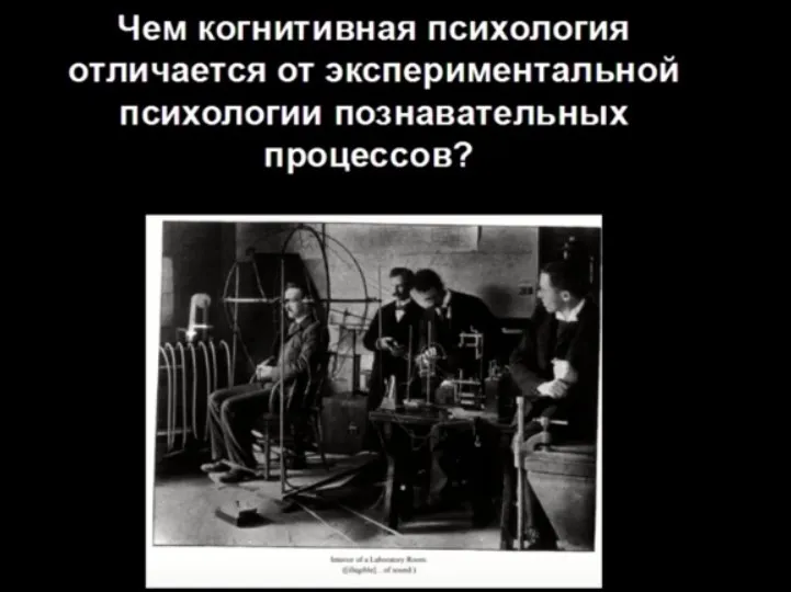 Что такое когнитивная психология, откуда она взялась и куда идёт (Мария Фаликман)