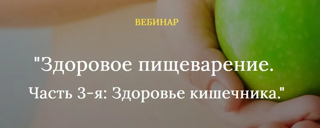 Здоровое пищеварение. Здоровье кишечника (Екатерина Андреева)