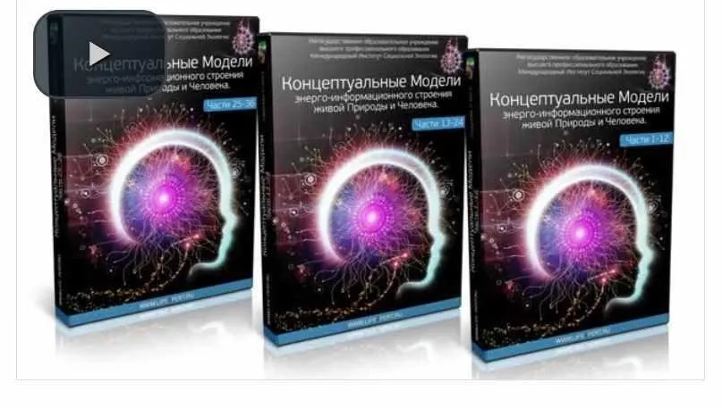 Понятия: Закон, Страх, Информаторий, Матрицы, Похвала, Эгрегоры (Вячеслав Губанов)