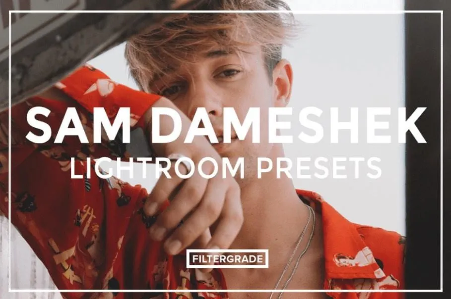 Пресеты лайтрум / Lightroom Presets PC (Sam Dameshek)