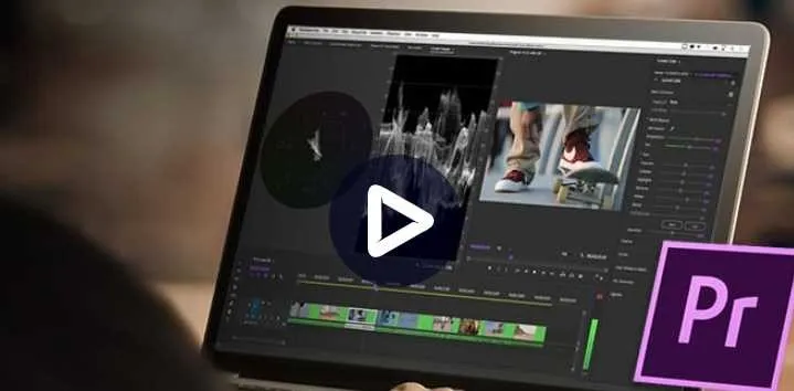 Цветокоррекция в Adobe Premiere PRO: Быстрый старт (Дмитрий Ларионов)