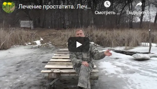Методика лечения простатита, и венерических инфекций (Александр Кокачев)