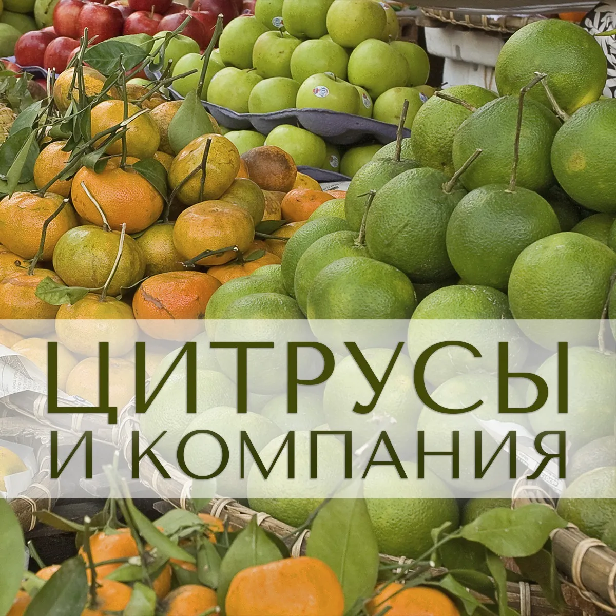 Цитрусы и веселая компания (Анна Зворыкина)