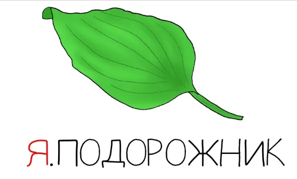 Я.Подорожник (Антон Маркин)