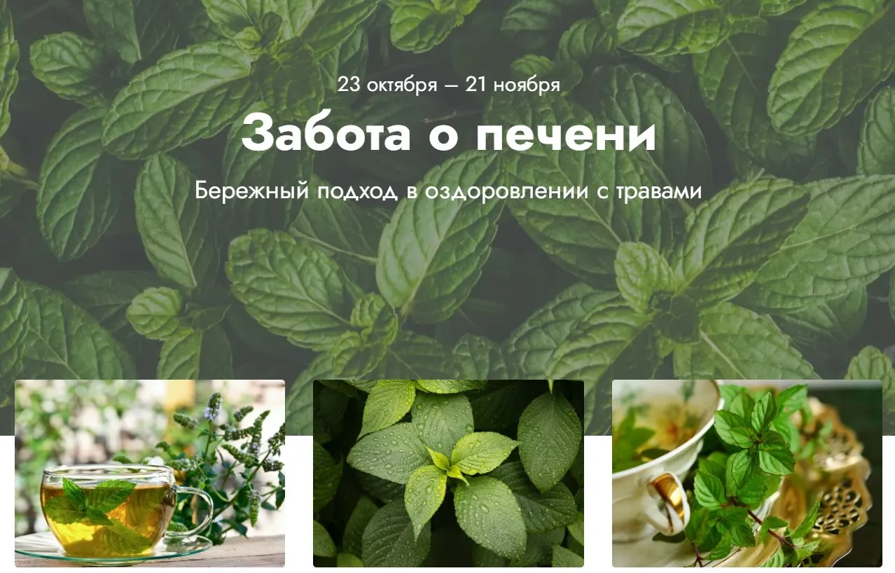 Забота о печени. Тариф Эффективный (Светлана Калмыкова)