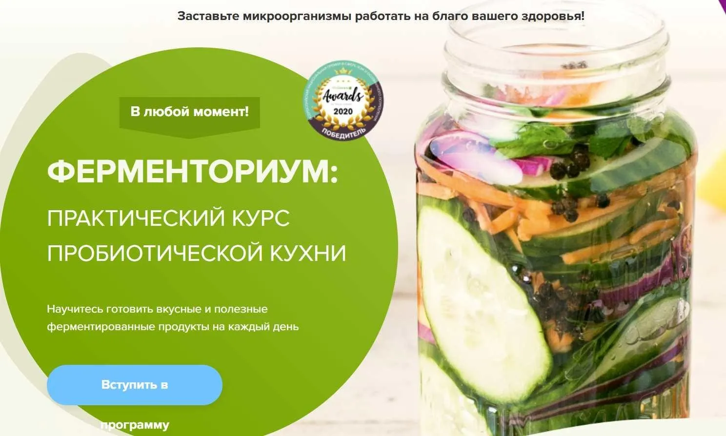 Ферменториум. Алкогольные коктейли из ферментированных продуктов (Юлия Мальцева)