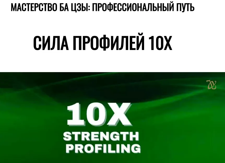 Сила профилей 10Х (Joey Yap)