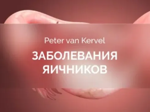 [Краниосакральная академия] Заболевания яичников (Питер Ван Кервель)