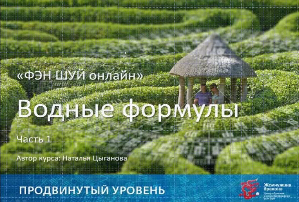 Фэн Шуй онлайн. Продвинутый уровень 10/10 (Наталья Цыганова)