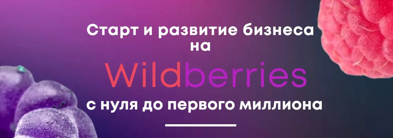 Старт и развитие бизнеса на Wildberries. Тариф Первые деньги (Александр Меркулов)