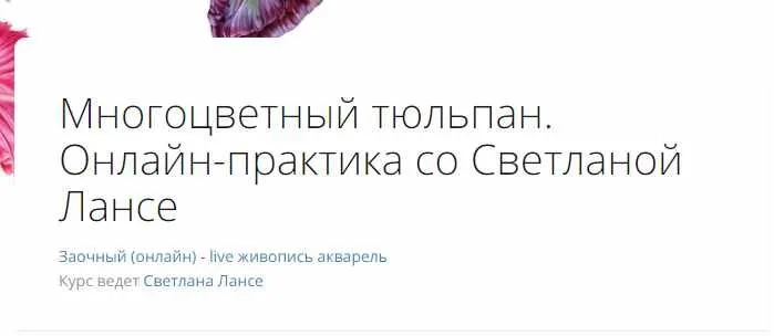 Многоцветный тюльпан (Светлана Лансе)