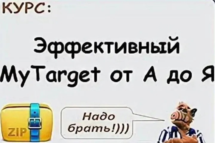 Эффективный MyTarget от А до Я (Виталий Стеценко)