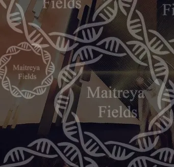 [Maitreya Fields] DM: Часть 3: Больше нет. DM: SBR