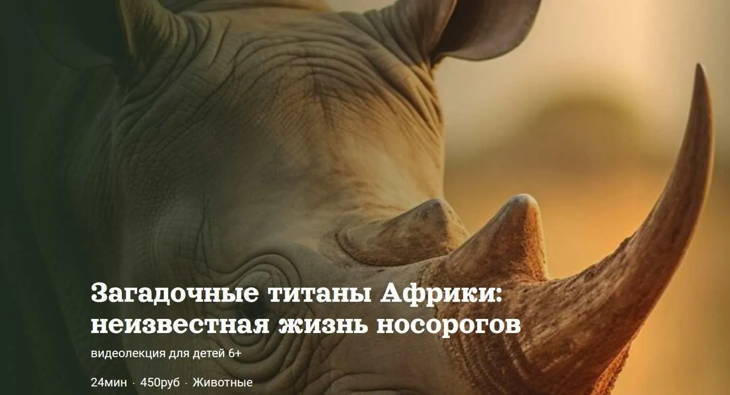 [Детский лекторий] Загадочные титаны Африки: неизвестная жизнь носорогов (Александр Толмачев)