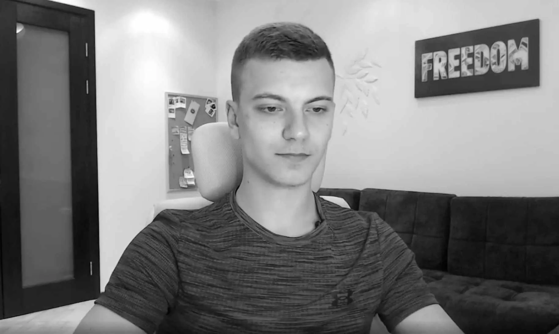 Транскрибатор вебинаров (Артем Николаев)
