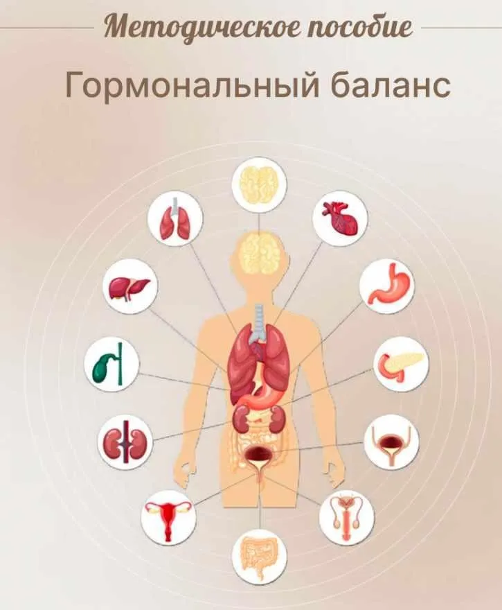Методическое пособие Гормональный баланс (Юлия Савельева)