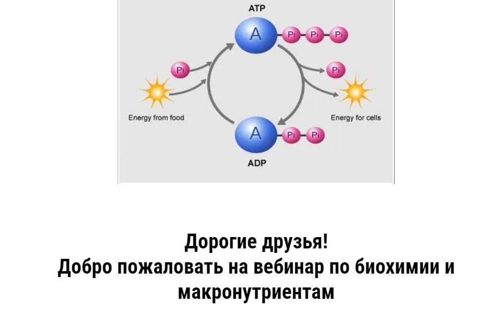 Биохимия (Дмитрий Путылин)