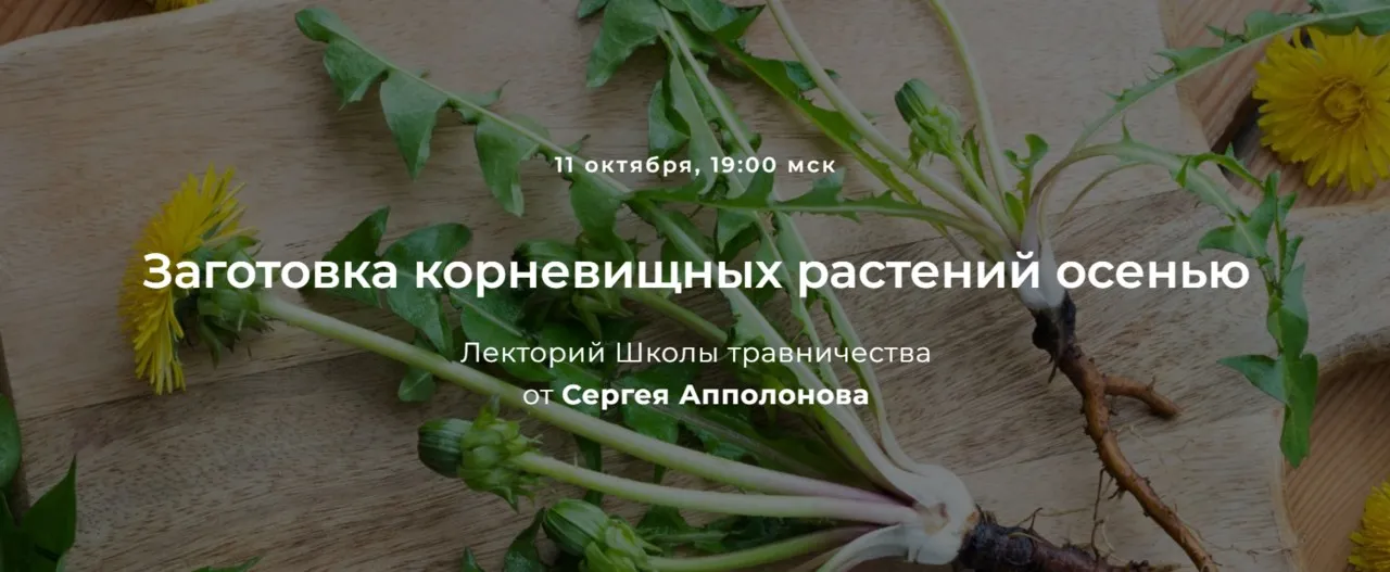 [festtrav] Заготовка корневищных растений осенью 2023 (Сергей Апполонов)