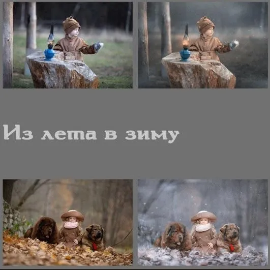 Из лета в зиму (Arma Gray)
