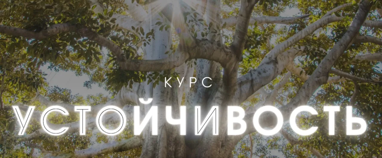 Устойчивость. Тариф Продвинутый (Александра Алексеева)
