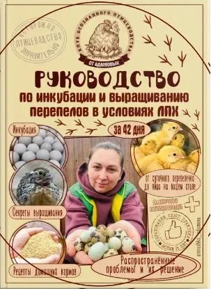 Руководство по инкубации и выращиванию перепелов в условиях ЛПХ (Анна Адамова)