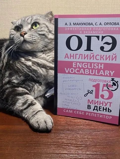 [Англомастер] Лексика для ОГЭ. Интерактивный курс (Светлана Орлова, Аида Манукова)