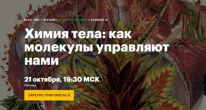 [Level One] Химия тела: как молекулы управляют нами (Мария Рабеко)