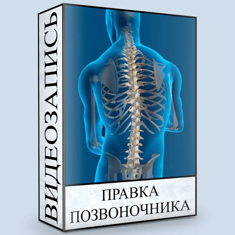 Грудная клетка (Людмила Малышева)