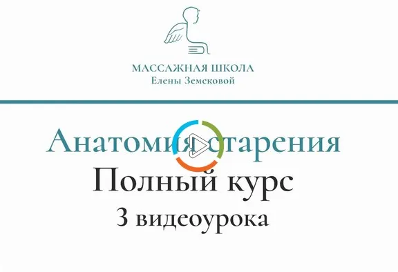 [Массажная школа Елены Земсковой] Анатомия старения. Практические аспекты (Константин Берман)